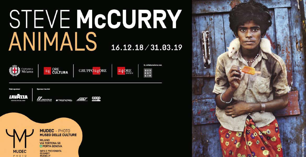 Animals, la mostra di McCurry arriva al Mudec - MasterX