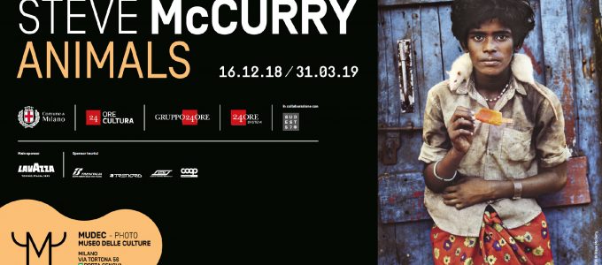 Animals, la mostra di McCurry arriva al Mudec - MasterX
