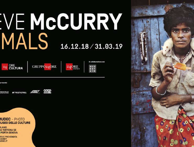 Animals, la mostra di McCurry arriva al Mudec - MasterX