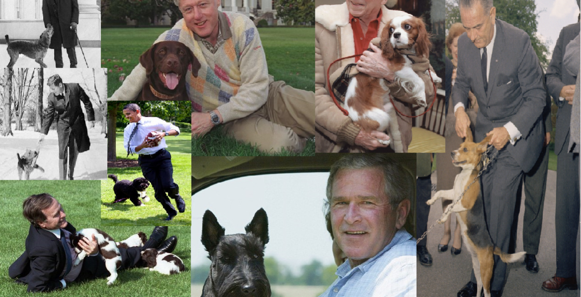 Tutti i cani del presidente