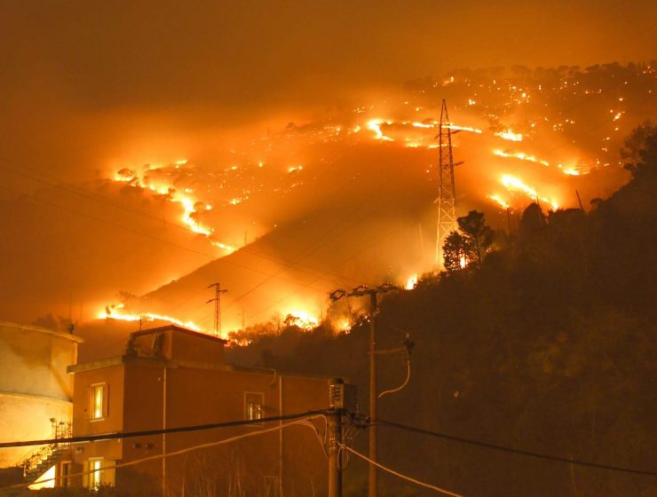 Genova, incendio sulle colline di Cogoleto: case evacuate e scuole chiuse - MasterX