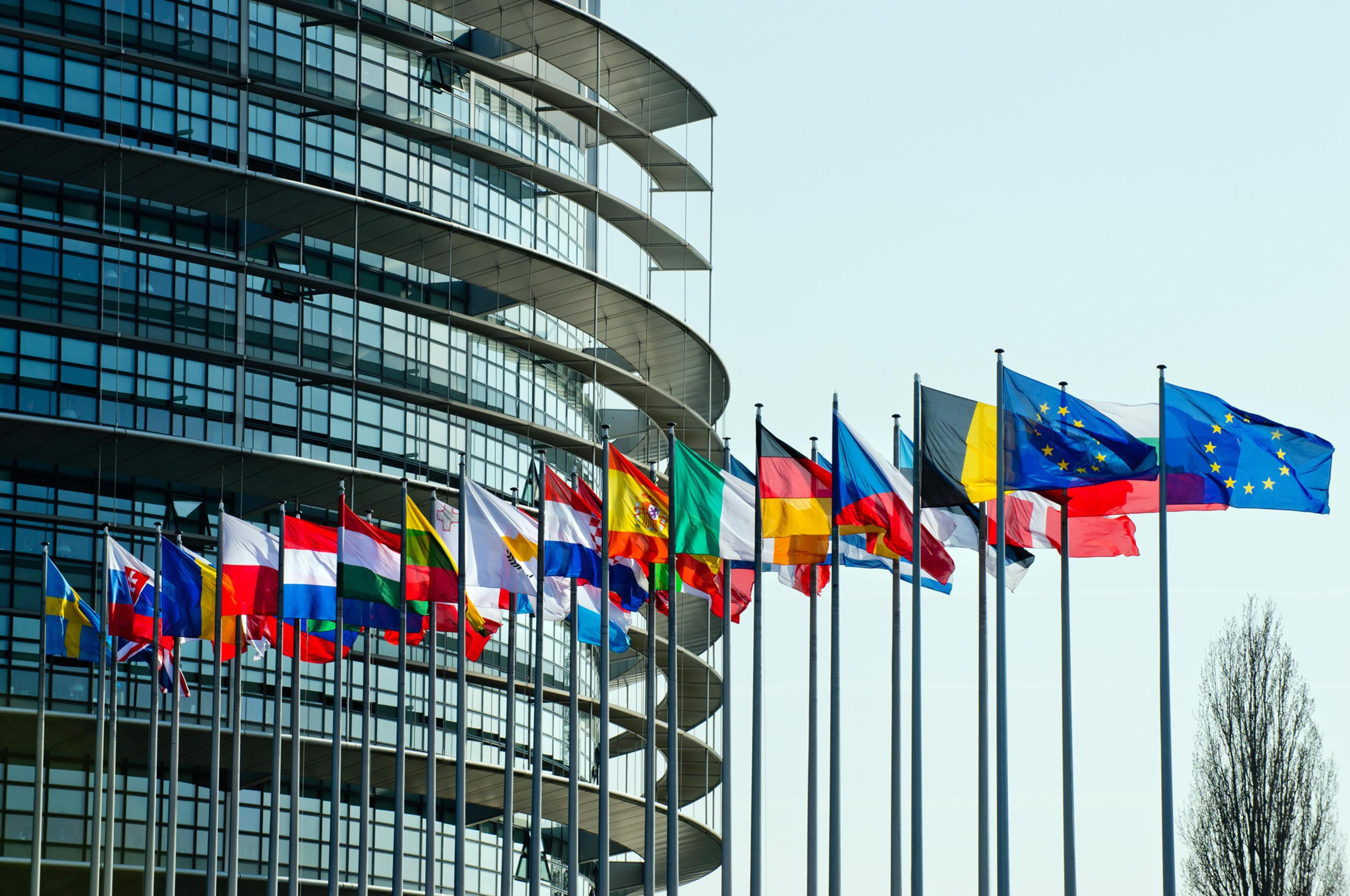Международный европейский центр. Флаг парламентской Ассамблеи совета Европы. Страсбург совет Европы. Страсбург штаб совета Европы. Европейский парламент Страсбург.