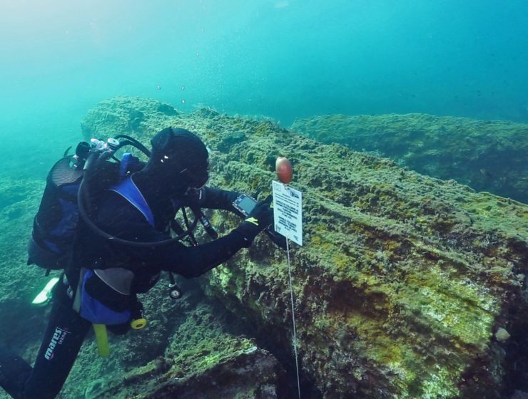 Sicilia: l'archeologia marina in diretta nelle scuole