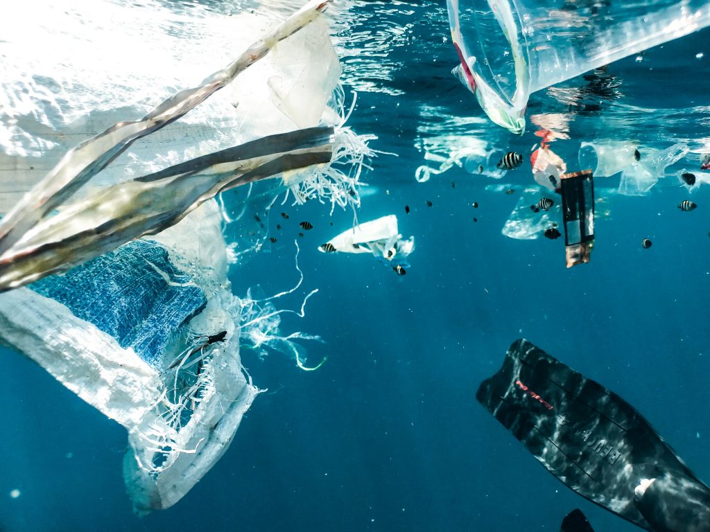 Il progetto LifeGate Plasticless combatte l'inquinamento da plastica nei mari