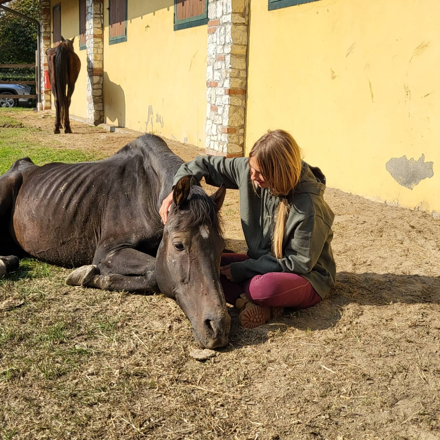 Alt foto Nicole Berlusconi e cavallo debilitato