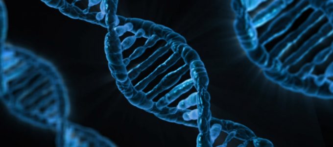 Filamento di DNA.