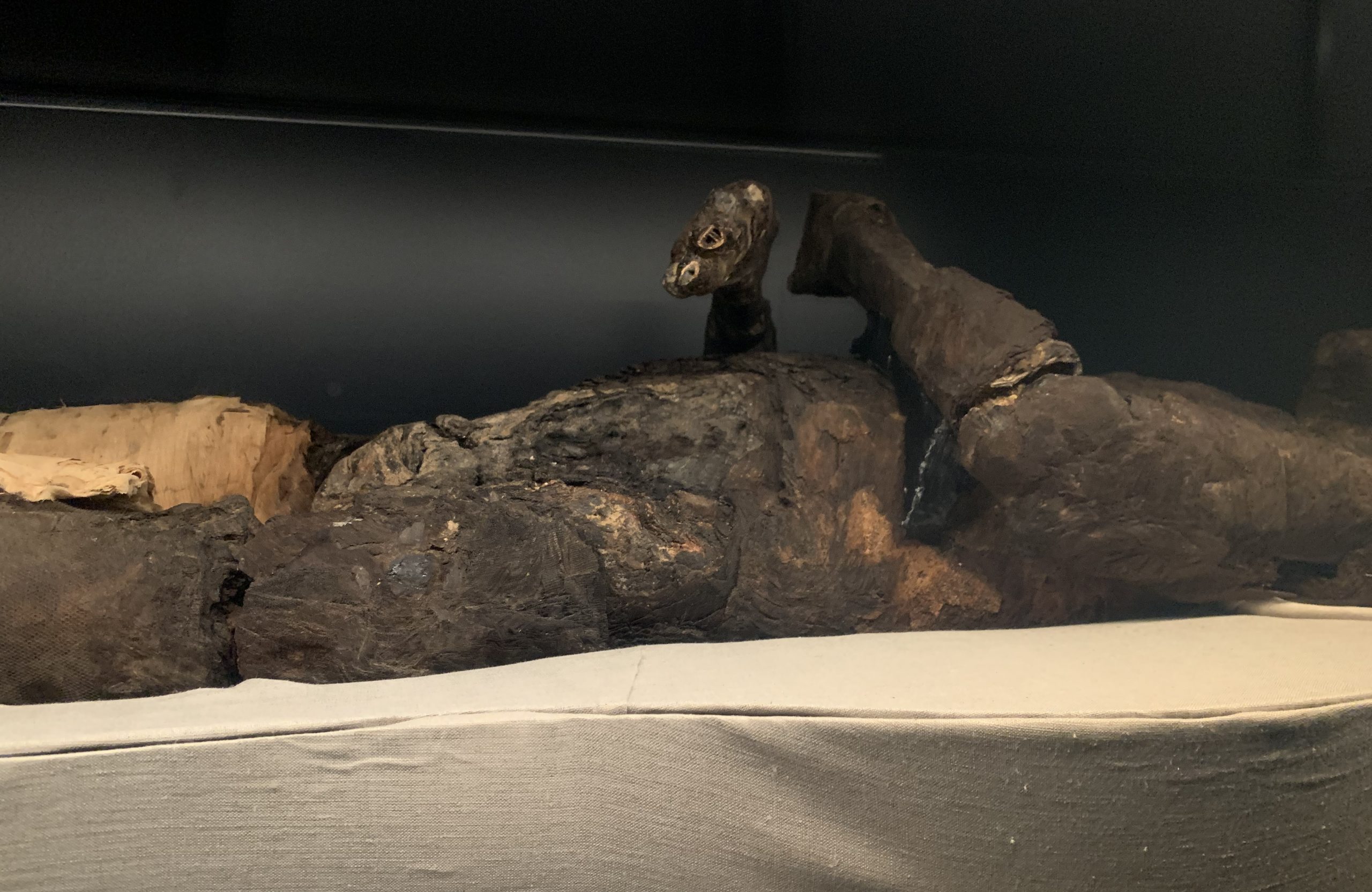 dettagli-mummia-Imhotep