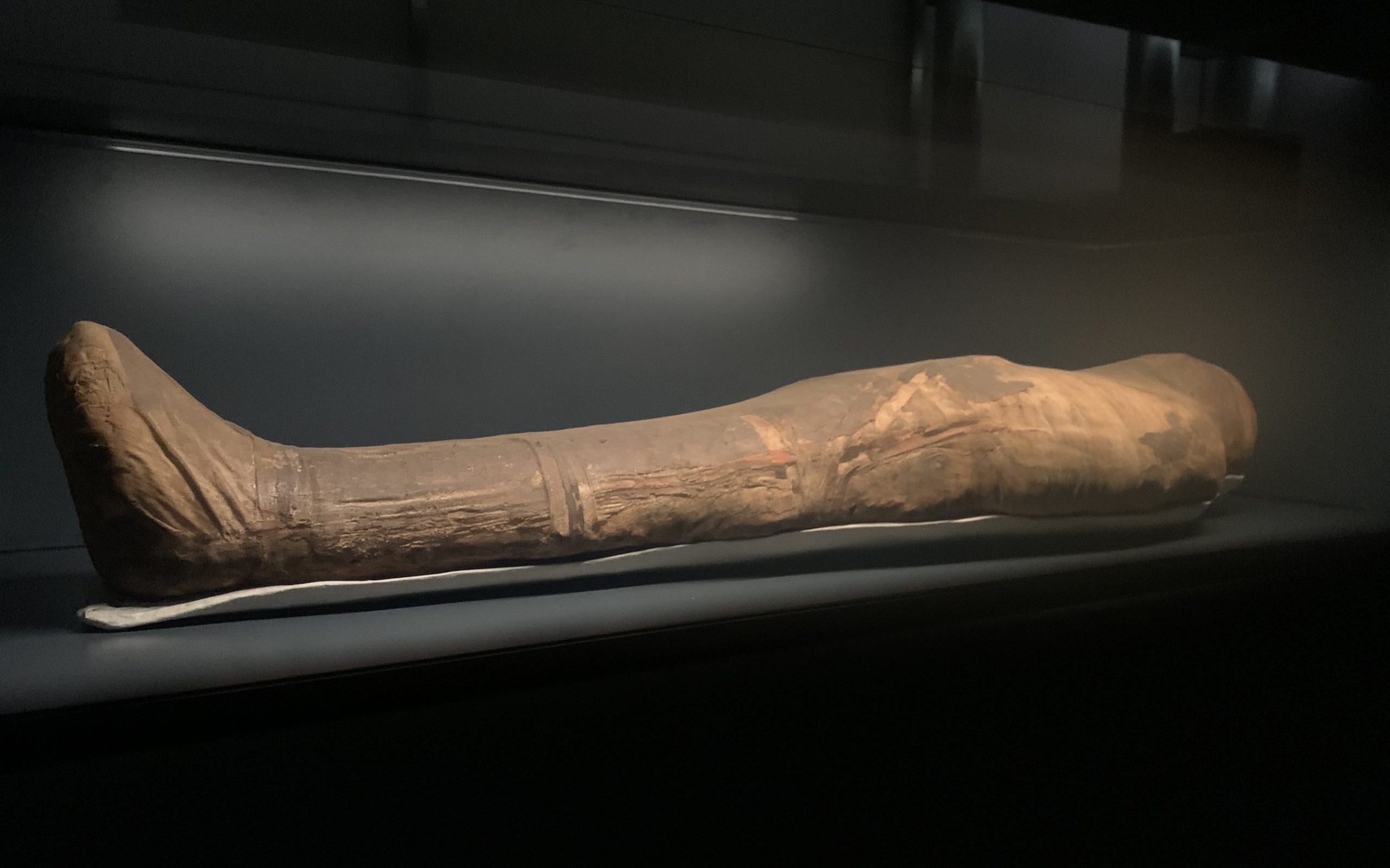 mummia-anziana-egizio-1