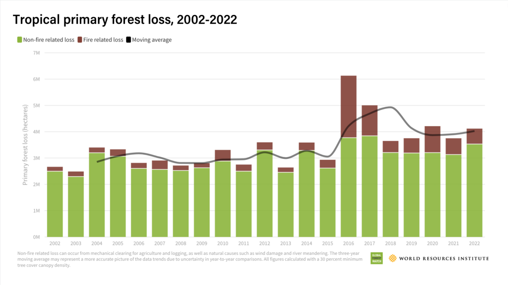 Deforestazione 2022 1