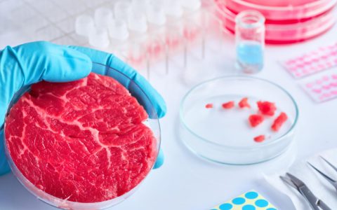 Carne coltivata in laboratorio