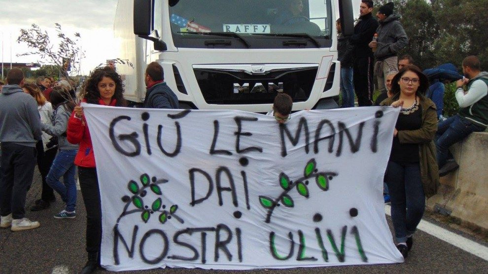 Nell'ottobre 2015 un blocco stradale lungo la statale che collega Brindisi e Lecce: gli agricoltori protestano contro gli abbattimenti
