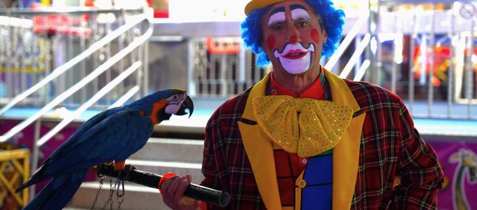 Il circo con gli animali non va più a Milano