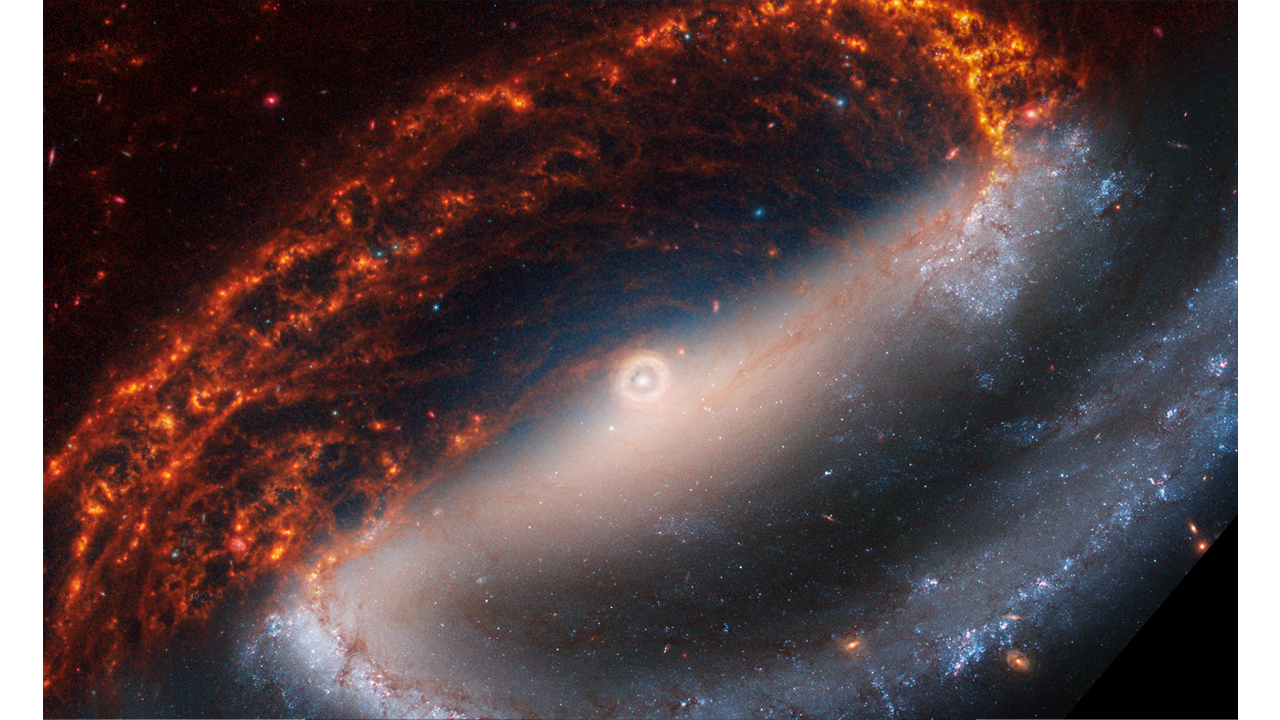 La galassia NGC 1300. A volte, la regione centrale nelle immagini ha un bagliore blu. Questo è un indicatore di alte concentrazioni di stelle più vecchie. Le osservazioni a infrarossi ci permettono di vedere attraverso il gas e la polvere per identificare queste stelle più vecchie. La luce emessa da queste stelle è una delle lunghezze d'onda dell'infrarosso più corte, motivo per cui sono assegnate al blu.