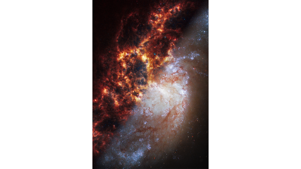 La galassia a spirale NGC 1385. In questo caso abbiamo un probabile scontro tra una galassia formata da stelle giovani e una formata da stelle più anziane, che contribuisce a spezzare il colore della foto.