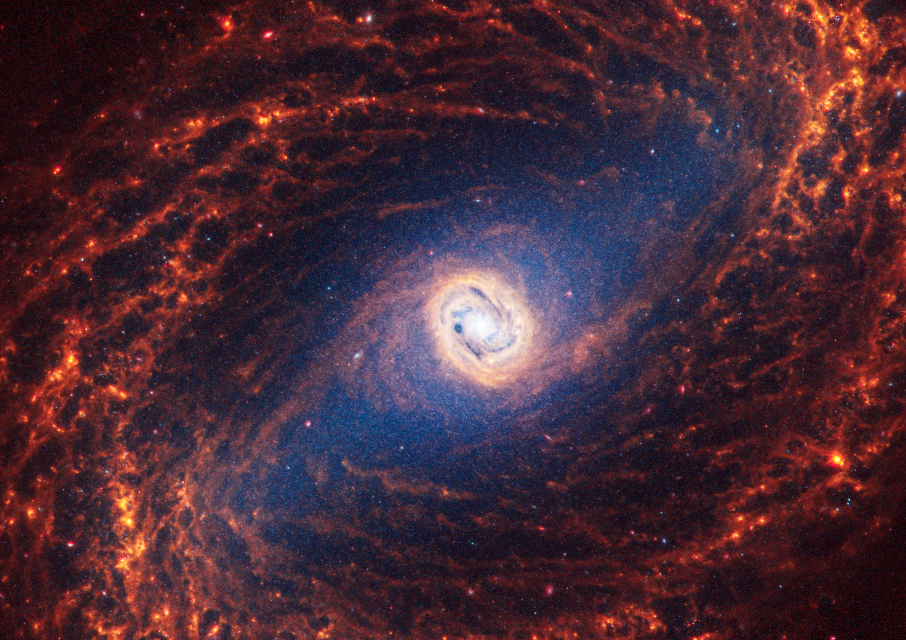 La galassia a spirale NGC 1533, a 46 milioni di anni luce da noi, situata nella Costellazione dell'Orologio