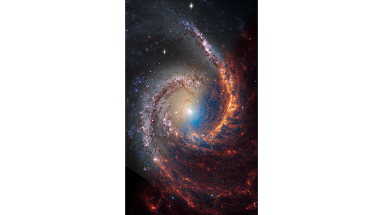 La galassia NGC 1566, a 60 milioni di anni luce da noi. La galassia NGC 1566 è stata osservata nell'ambito del programma Physics at High Angular Resolution in Near GalaxieS (PHANGS), un vasto progetto che include osservazioni da diversi telescopi spaziali e terrestri di molte galassie per aiutare i ricercatori a studiare tutte le fasi della formazione stellare. ciclo, dalla formazione di stelle all'interno di nubi di gas polveroso all'energia rilasciata nel processo che crea le intricate strutture rivelate da queste nuove immagini.