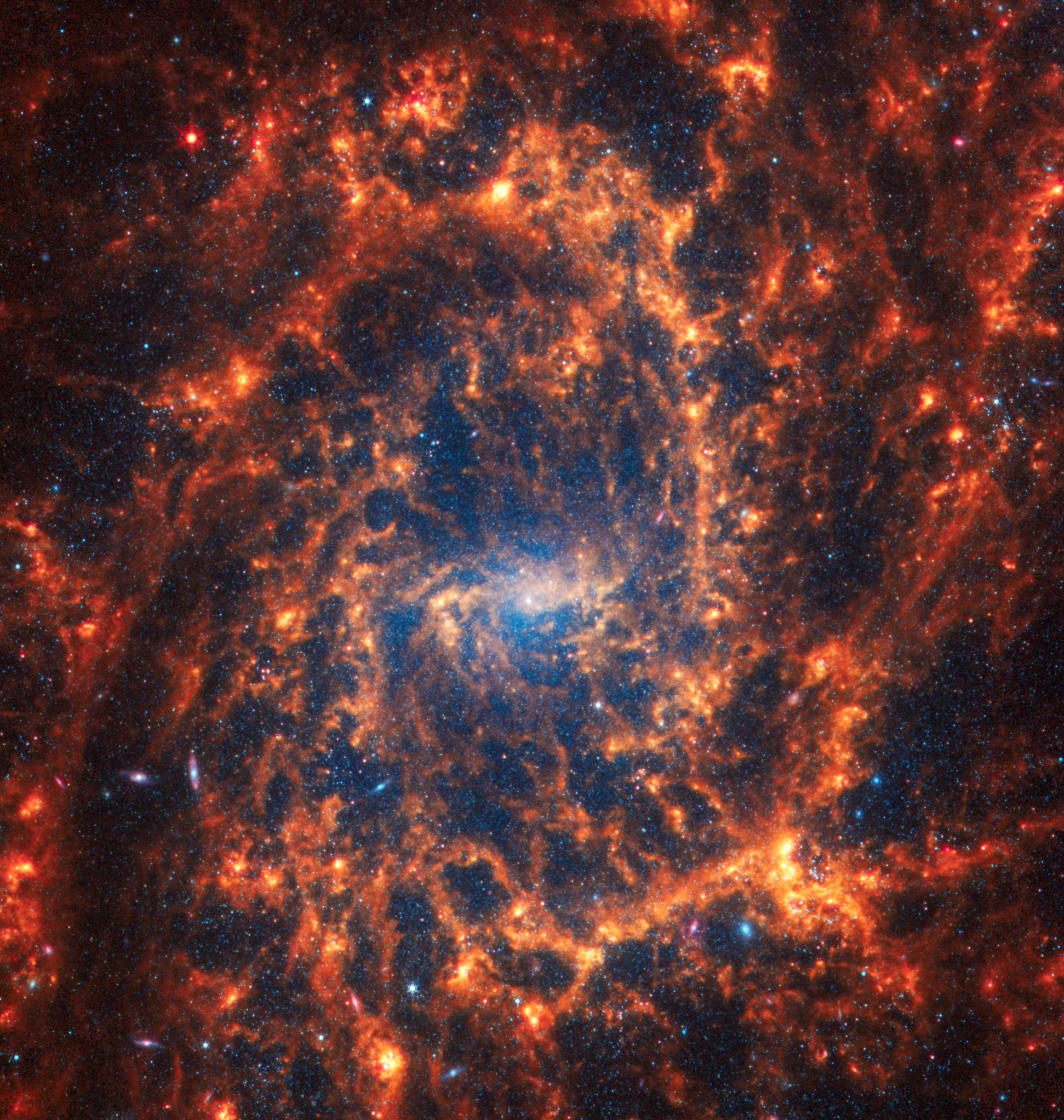 La galassia a spirale NGC 2835 vista frontalmente.