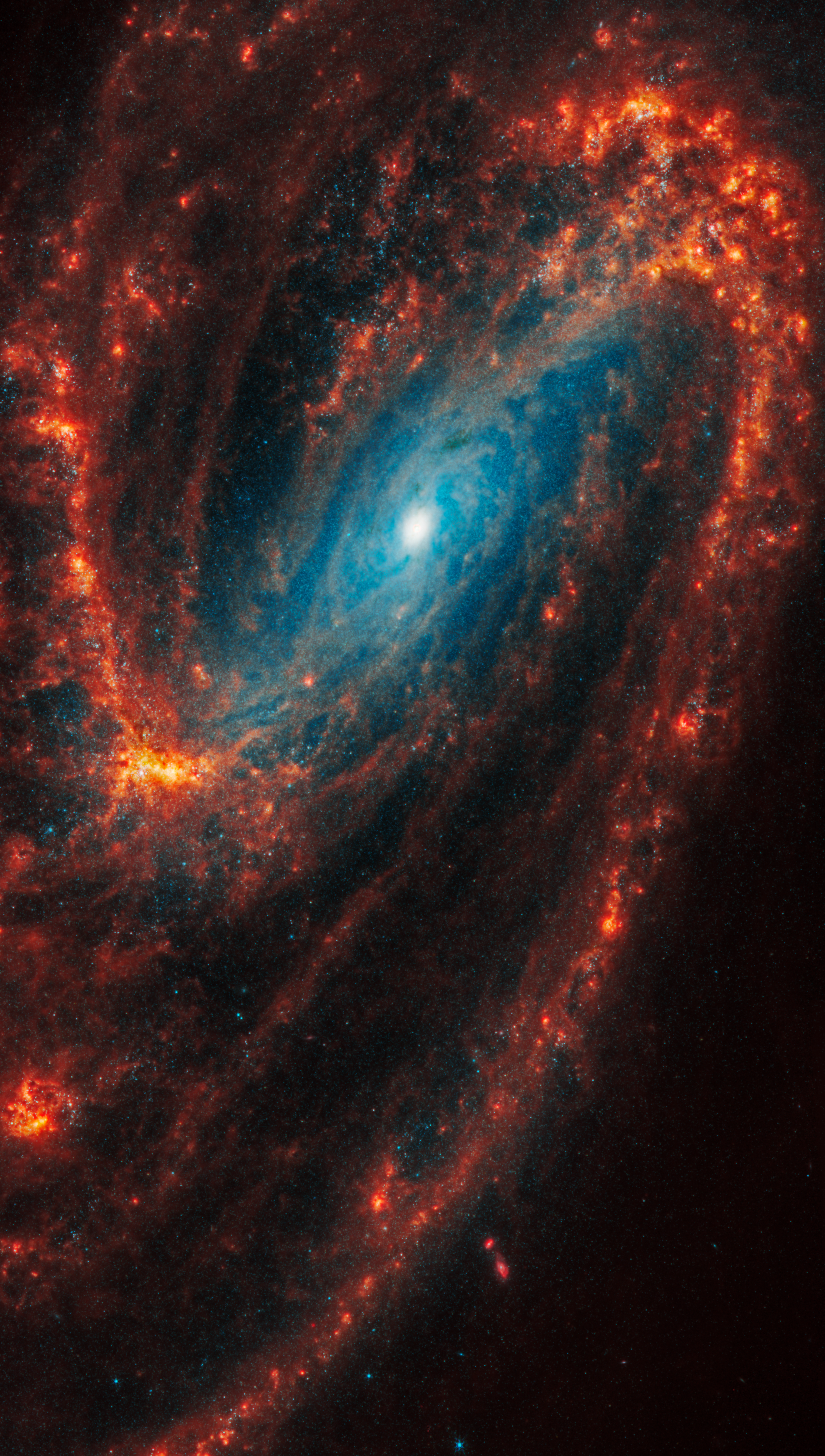 La Galassia NGC 3627, situata a 36 milioni di anni luce da noi, nella costellazione del Leone