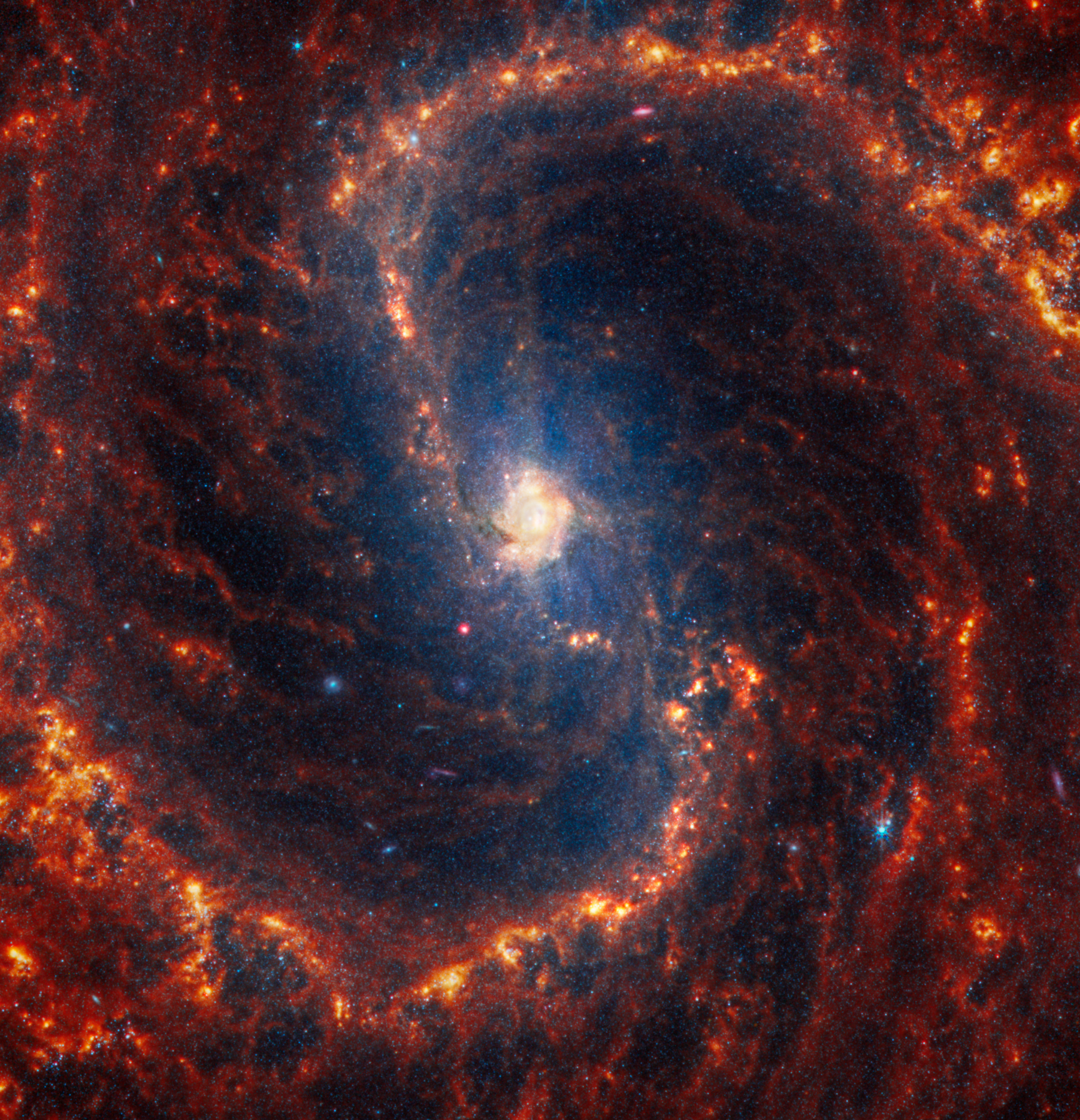 NGC 4535 nella costellazione della Vergine, a 50 milioni di anni luce di distana dal nostro pianeta.