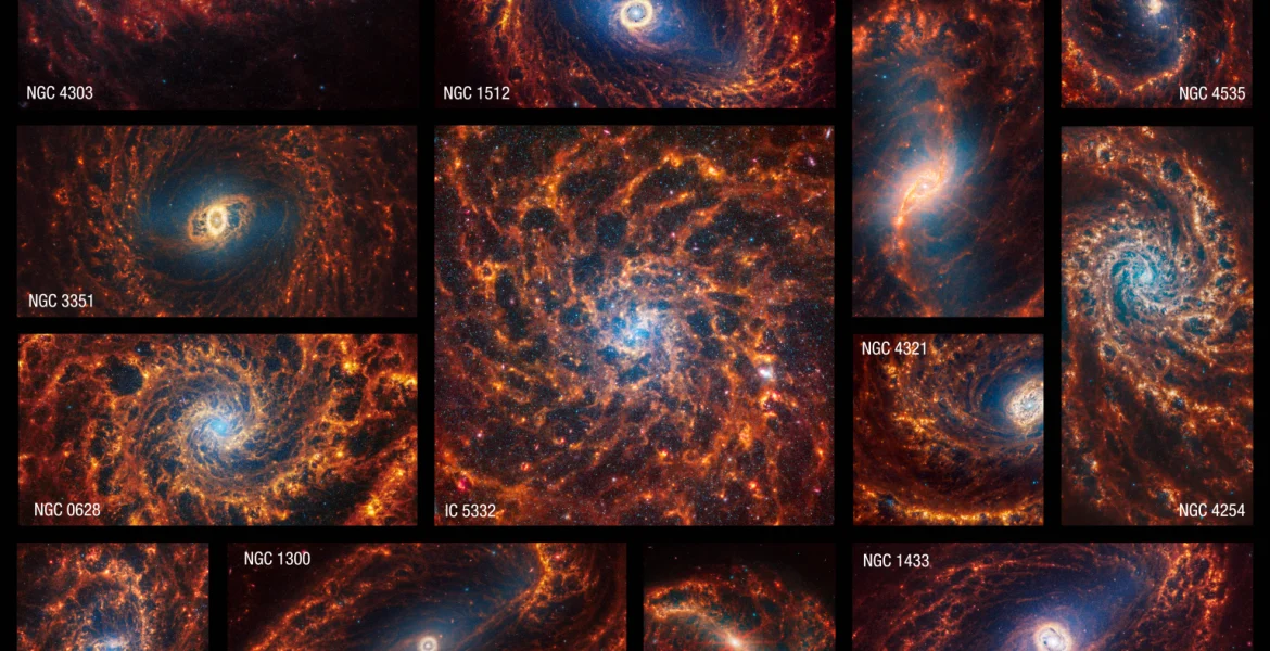 Le 19 galassie riprese dal telescopio James Webb