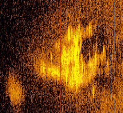 L'immagine sonar rilevata da Deep Sea Vision a 5 mila metri sul fondo del Pacifico