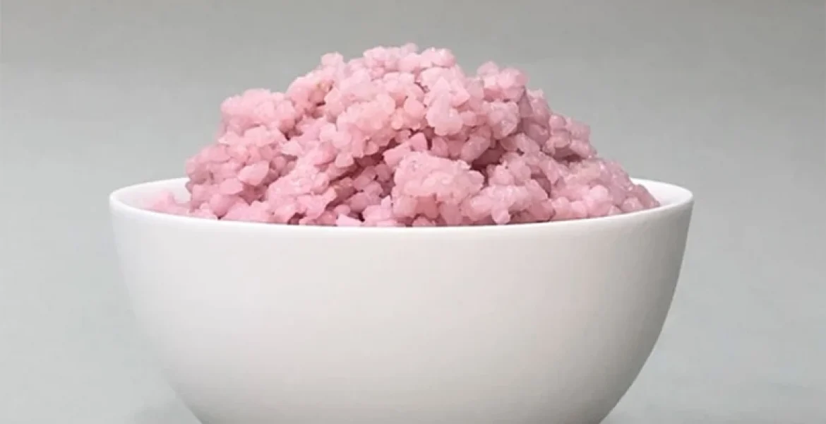 L'ibrido manzo-riso è rosa perché il mezzo di coltura cellulare contiene rosso fenolo, un monitor dell'acidità. Credits: Università di Yonsei