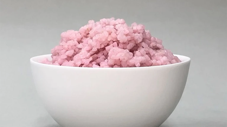 L'ibrido manzo-riso è rosa perché il mezzo di coltura cellulare contiene rosso fenolo, un monitor dell'acidità. Credits: Università di Yonsei