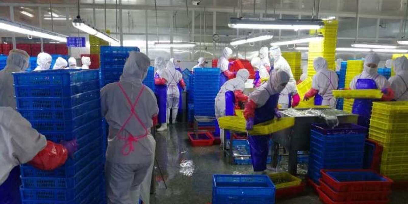 L'interno di uno stabilimento dell'azienda cinese di pesce e frutti di mare Dalian Haiqing Food