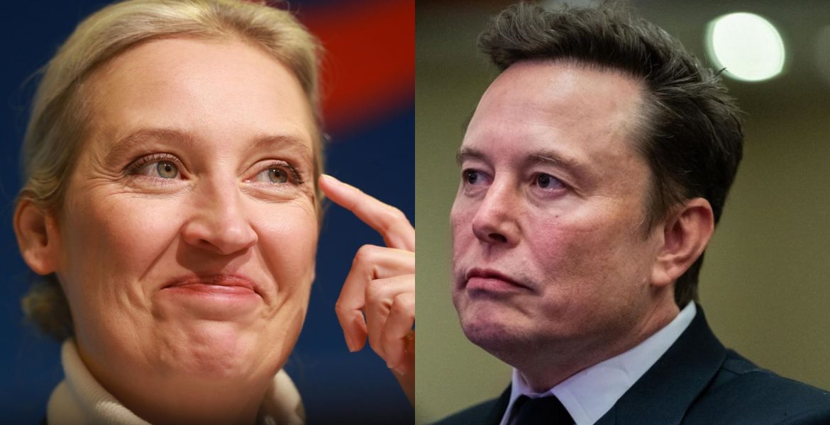 Elon Musk e Alice Weidel