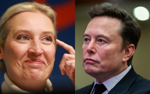 Elon Musk e Alice Weidel