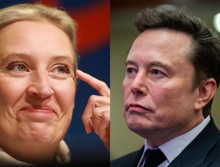 Elon Musk e Alice Weidel