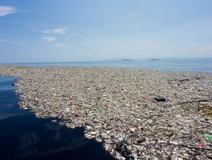 Isola di plastica nel Pacifico