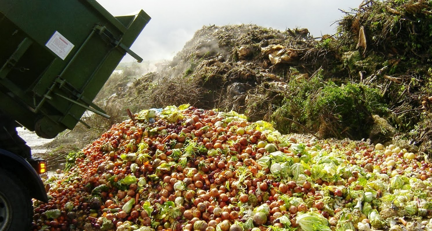 Una montagna di rifiuti alimentari