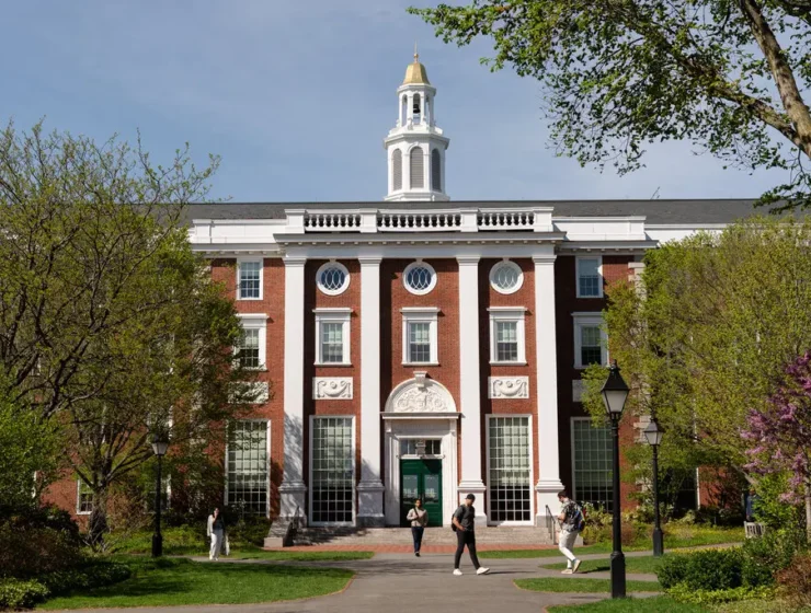 università di Harvard