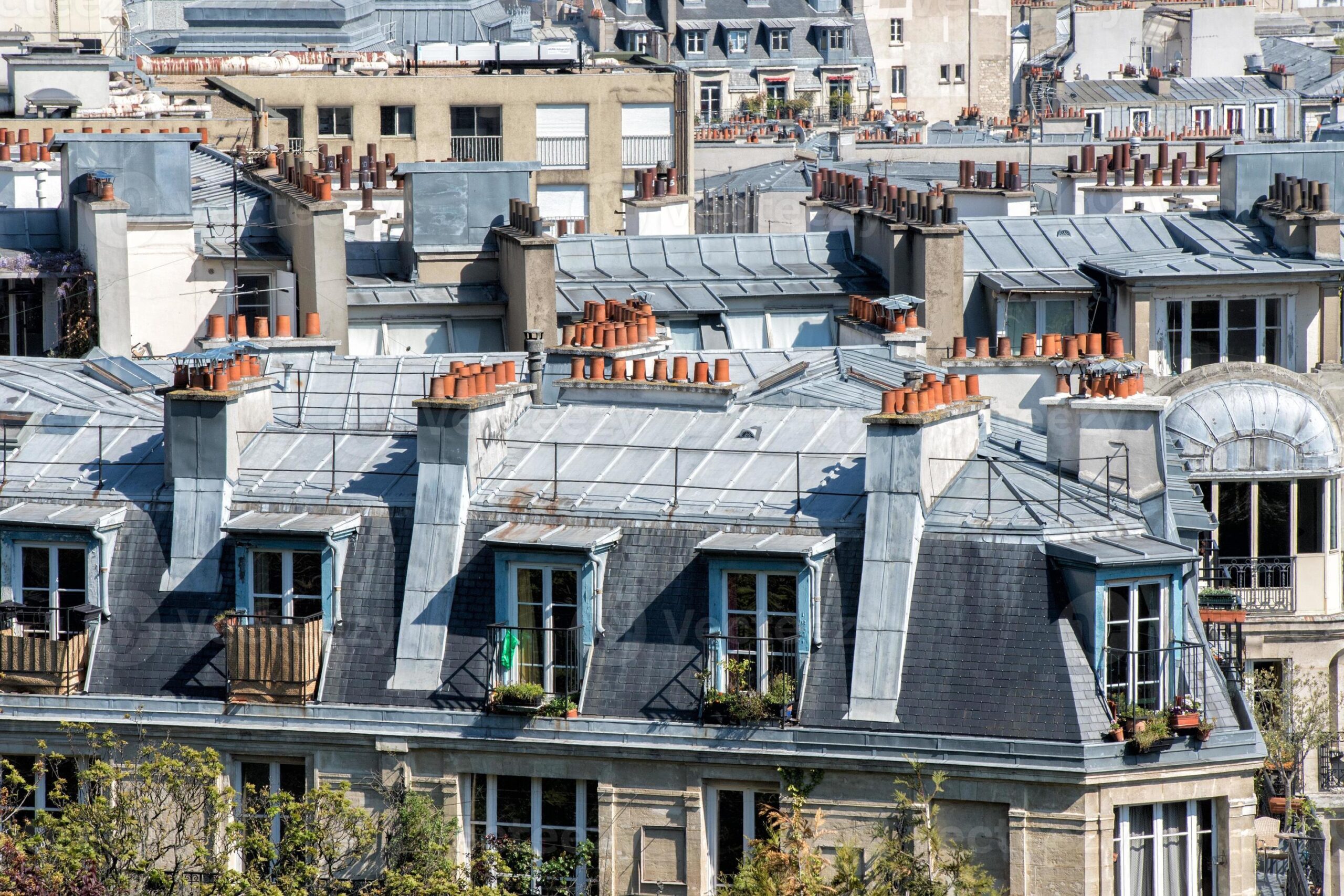 Gli iconici tetti parigini dei palazzi in stile Haussmann, ricoperti di zinco