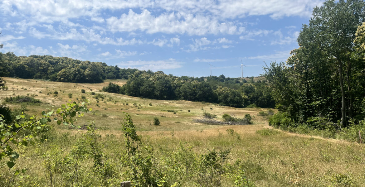 In lontananza il Parco Eolico del Monte Galletto, vicino a Madonna dei Fornelli