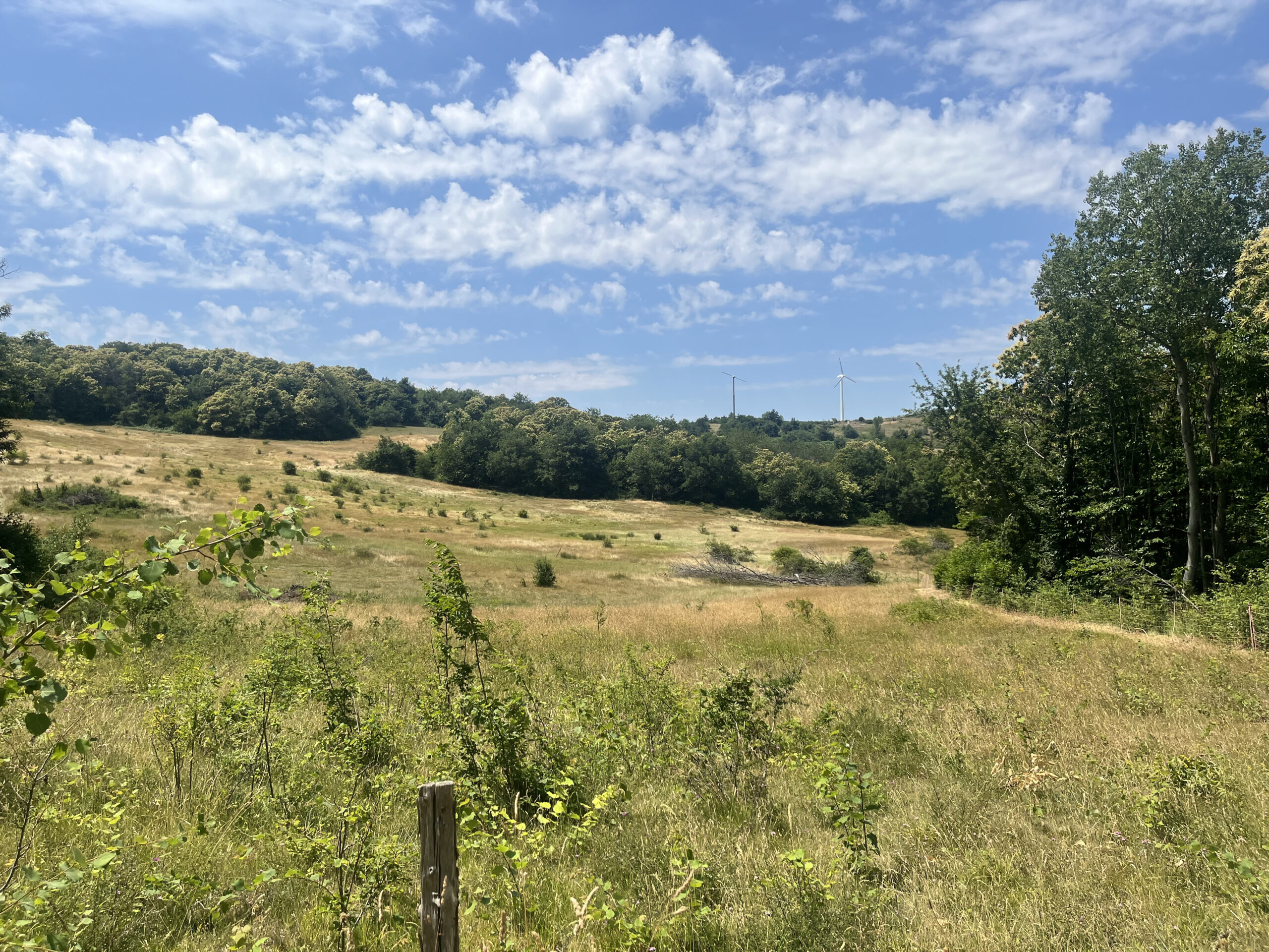 In lontananza il Parco Eolico del Monte Galletto, vicino a Madonna dei Fornelli