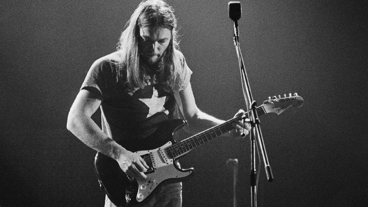 Fender