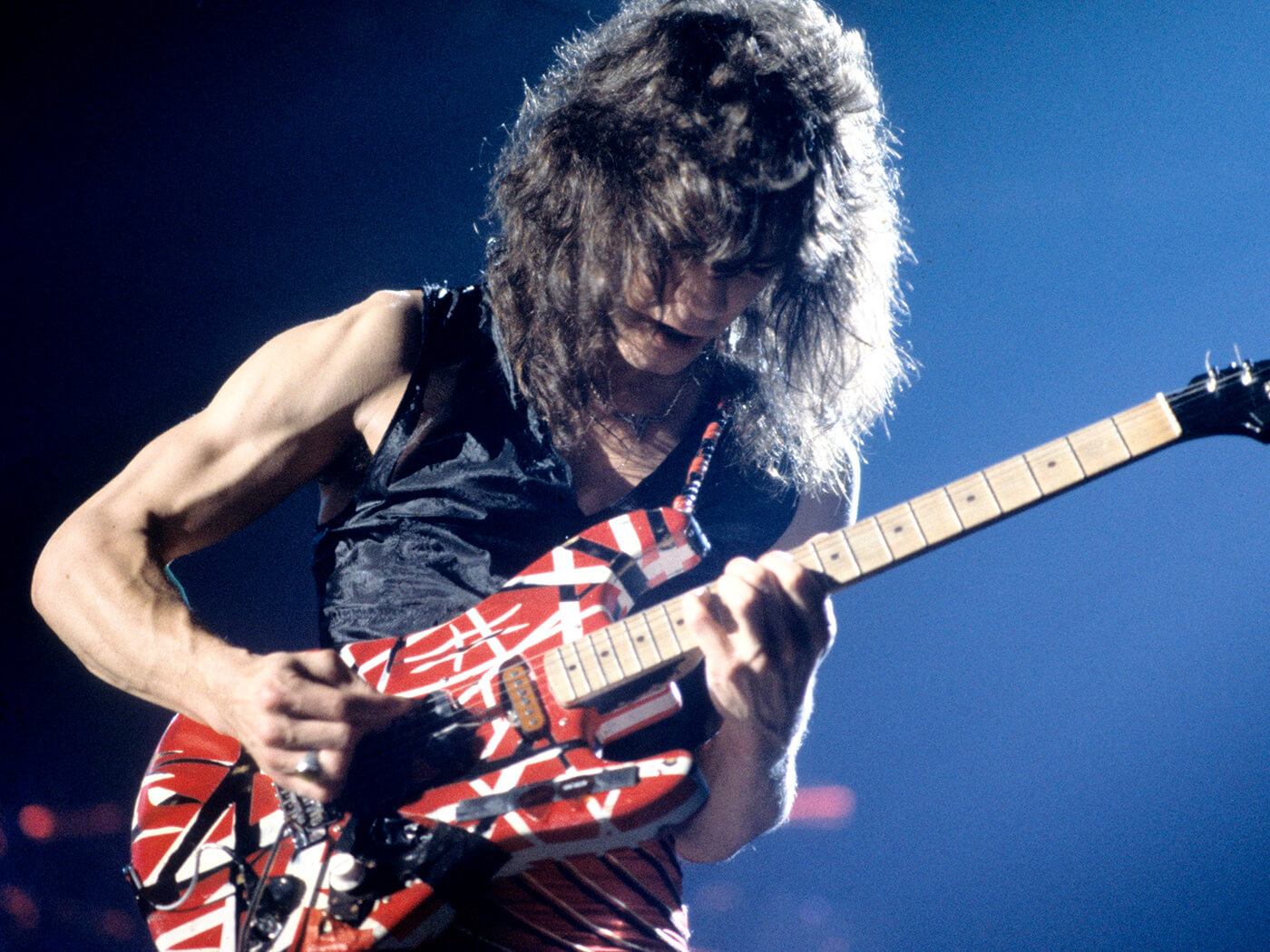 Fender